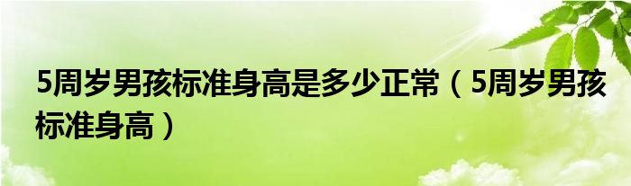 5周歲男孩標(biāo)準(zhǔn)身高是多少正常（5周歲男孩標(biāo)準(zhǔn)身高）