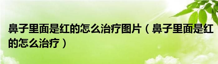 鼻子里面是紅的怎么治療圖片（鼻子里面是紅的怎么治療）