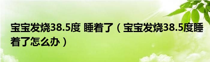 寶寶發(fā)燒38.5度 睡著了（寶寶發(fā)燒38.5度睡著了怎么辦）