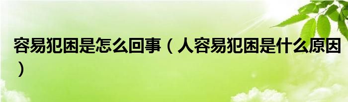 容易犯困是怎么回事（人容易犯困是什么原因）