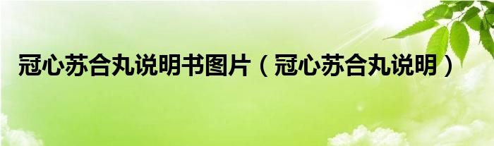 冠心蘇合丸說明書圖片（冠心蘇合丸說明）