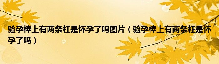 驗(yàn)孕棒上有兩條杠是懷孕了嗎圖片（驗(yàn)孕棒上有兩條杠是懷孕了嗎）