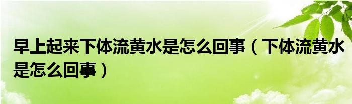 早上起來下體流黃水是怎么回事（下體流黃水是怎么回事）