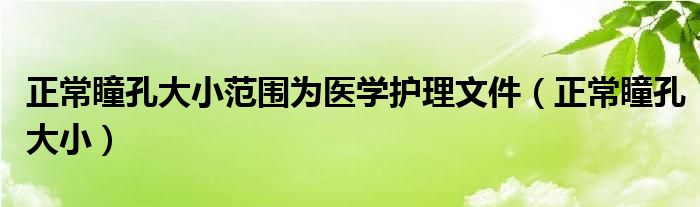 正常瞳孔大小范圍為醫(yī)學(xué)護(hù)理文件（正常瞳孔大?。?class='thumb lazy' /></a>
		    <header>
		<h2><a  href=