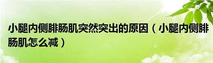 小腿內(nèi)側腓腸肌突然突出的原因（小腿內(nèi)側腓腸肌怎么減）