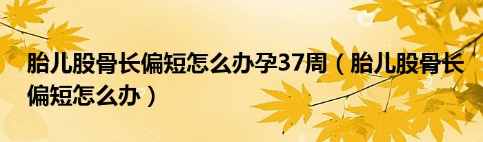 胎兒股骨長(zhǎng)偏短怎么辦孕37周（胎兒股骨長(zhǎng)偏短怎么辦）