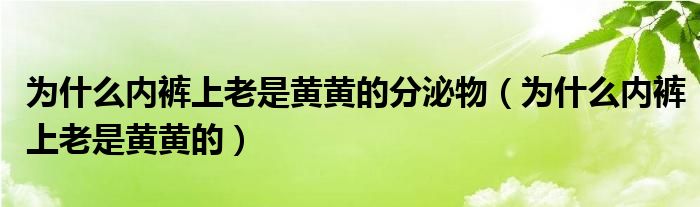 為什么內褲上老是黃黃的分泌物（為什么內褲上老是黃黃的）