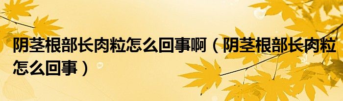 陰莖根部長肉粒怎么回事?。幥o根部長肉粒怎么回事）