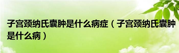 子宮頸納氏囊腫是什么病癥（子宮頸納氏囊腫是什么?。?class='thumb lazy' /></a>
		    <header>
		<h2><a  href=