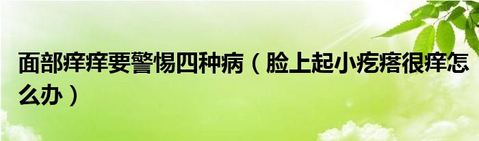 面部癢癢要警惕四種?。樕掀鹦「泶窈馨W怎么辦）