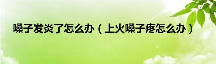 嗓子發(fā)炎了怎么辦（上火嗓子疼怎么辦）