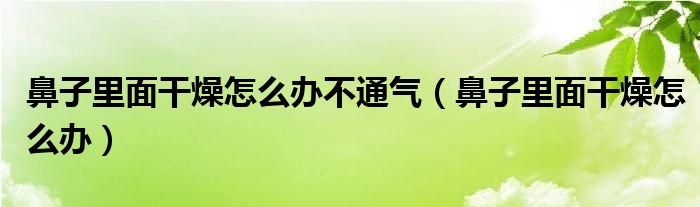 鼻子里面干燥怎么辦不通氣（鼻子里面干燥怎么辦）