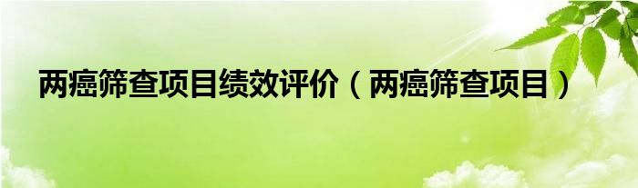 兩癌篩查項(xiàng)目績效評(píng)價(jià)（兩癌篩查項(xiàng)目）