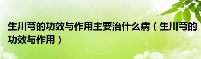 生川芎的功效與作用主要治什么?。ㄉㄜ旱墓πc作用）