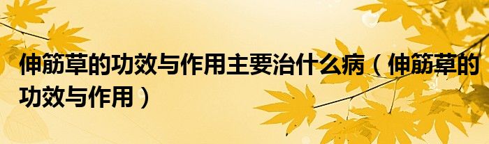 伸筋草的功效與作用主要治什么?。ㄉ旖畈莸墓πc作用）