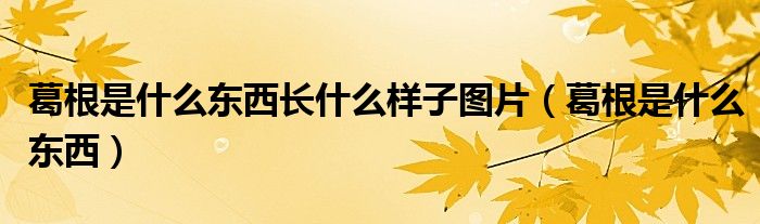 葛根是什么東西長(zhǎng)什么樣子圖片（葛根是什么東西）