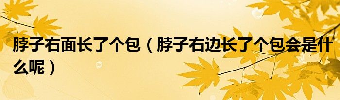 脖子右面長了個包（脖子右邊長了個包會是什么呢）