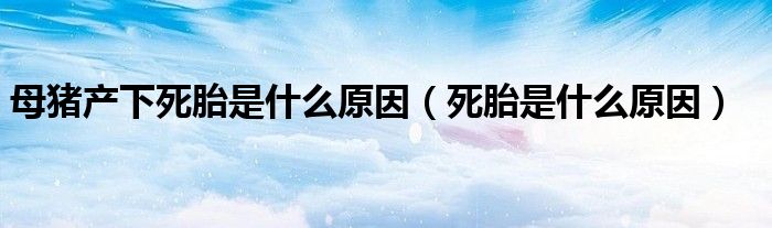 母豬產(chǎn)下死胎是什么原因（死胎是什么原因）