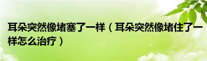 耳朵突然像堵塞了一樣（耳朵突然像堵住了一樣怎么治療）