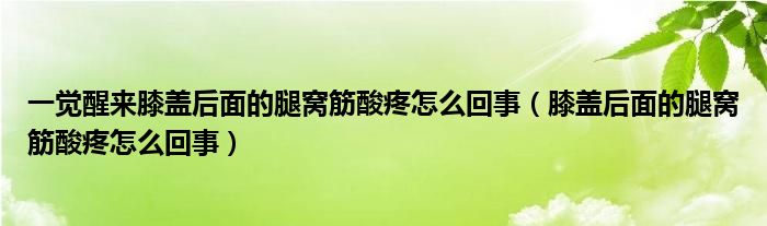 一覺醒來膝蓋后面的腿窩筋酸疼怎么回事（膝蓋后面的腿窩筋酸疼怎么回事）