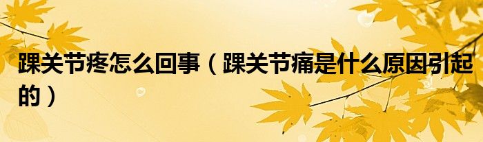 踝關節(jié)疼怎么回事（踝關節(jié)痛是什么原因引起的）