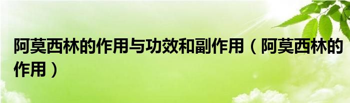 阿莫西林的作用與功效和副作用（阿莫西林的作用）