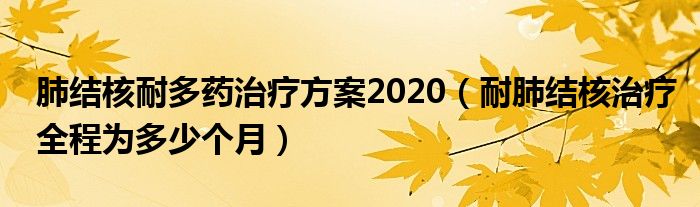 肺結(jié)核耐多藥治療方案2020（耐肺結(jié)核治療全程為多少個(gè)月）