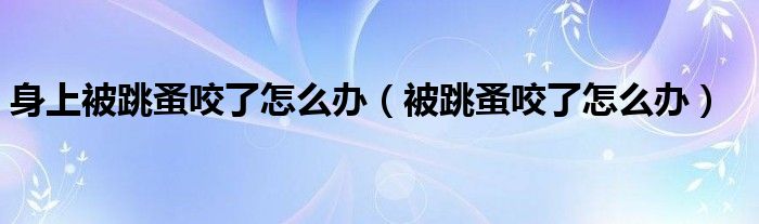 身上被跳蚤咬了怎么辦（被跳蚤咬了怎么辦）