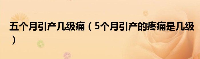 五個(gè)月引產(chǎn)幾級(jí)痛（5個(gè)月引產(chǎn)的疼痛是幾級(jí)）