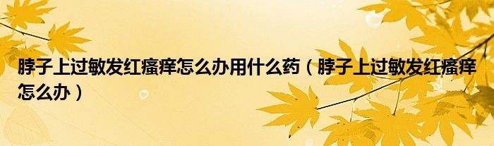 脖子上過敏發(fā)紅瘙癢怎么辦用什么藥（脖子上過敏發(fā)紅瘙癢怎么辦）