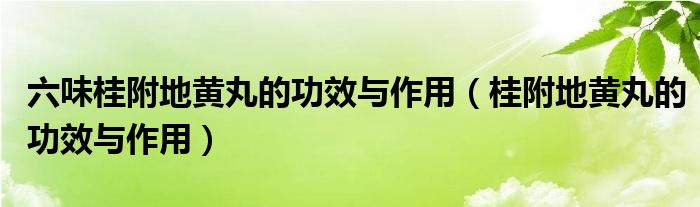 六味桂附地黃丸的功效與作用（桂附地黃丸的功效與作用）