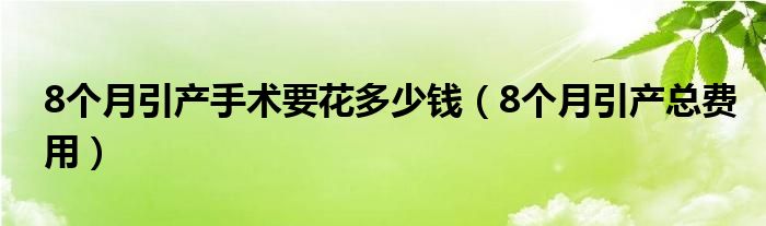 8個月引產手術要花多少錢（8個月引產總費用）