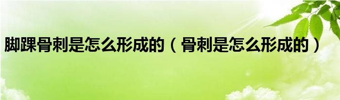 腳踝骨刺是怎么形成的（骨刺是怎么形成的）