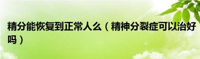 精分能恢復(fù)到正常人么（精神分裂癥可以治好嗎）