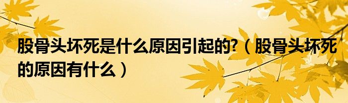 股骨頭壞死是什么原因引起的?（股骨頭壞死的原因有什么）