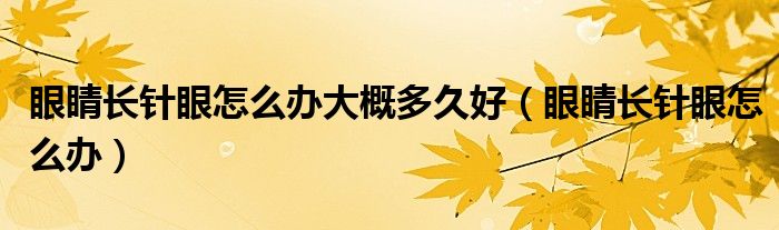 眼睛長針眼怎么辦大概多久好（眼睛長針眼怎么辦）