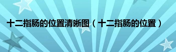 十二指腸的位置清晰圖（十二指腸的位置）