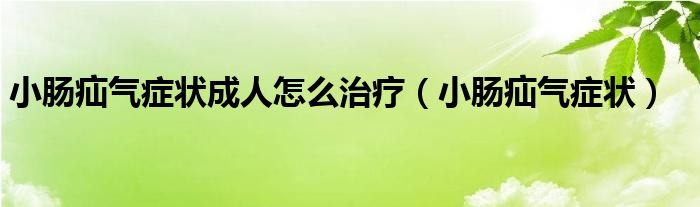 小腸疝氣癥狀成人怎么治療（小腸疝氣癥狀）