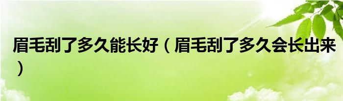 眉毛刮了多久能長好（眉毛刮了多久會(huì)長出來）