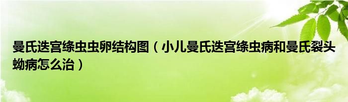 曼氏迭宮絳蟲(chóng)蟲(chóng)卵結(jié)構(gòu)圖（小兒曼氏迭宮絳蟲(chóng)病和曼氏裂頭蚴病怎么治）