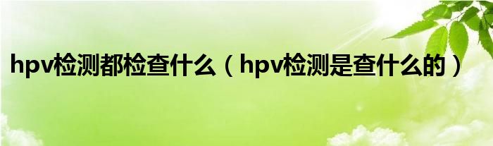 hpv檢測都檢查什么（hpv檢測是查什么的）