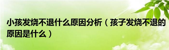 小孩發(fā)燒不退什么原因分析（孩子發(fā)燒不退的原因是什么）