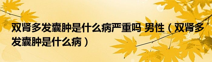 雙腎多發(fā)囊腫是什么病嚴重嗎 男性（雙腎多發(fā)囊腫是什么?。? /></span>
		<span id=