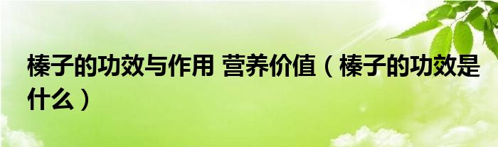 榛子的功效與作用 營(yíng)養(yǎng)價(jià)值（榛子的功效是什么）