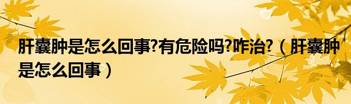 肝囊腫是怎么回事?有危險(xiǎn)嗎?咋治?（肝囊腫是怎么回事）