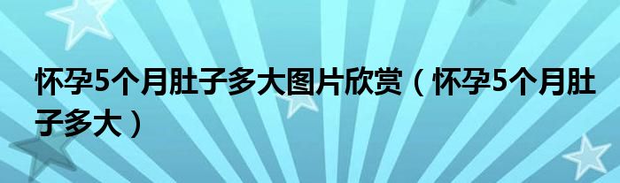 懷孕5個(gè)月肚子多大圖片欣賞（懷孕5個(gè)月肚子多大）