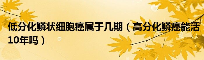 低分化鱗狀細(xì)胞癌屬于幾期（高分化鱗癌能活10年嗎）