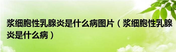 漿細(xì)胞性乳腺炎是什么病圖片（漿細(xì)胞性乳腺炎是什么?。? /></span>
		<span id=