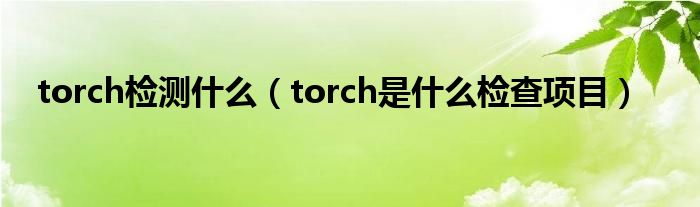 torch檢測(cè)什么（torch是什么檢查項(xiàng)目）