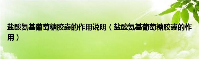 鹽酸氨基葡萄糖膠囊的作用說明（鹽酸氨基葡萄糖膠囊的作用）